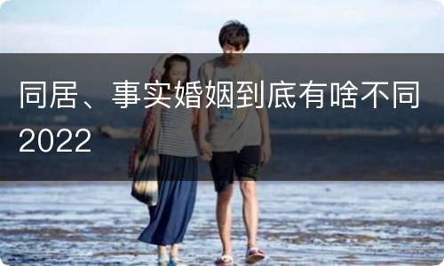 同居、事实婚姻到底有啥不同2022
