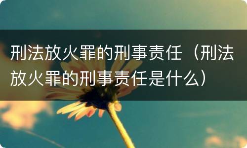 刑法放火罪的刑事责任（刑法放火罪的刑事责任是什么）