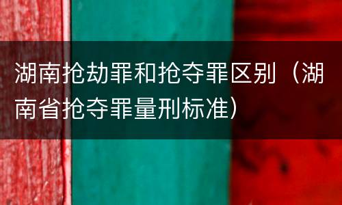湖南抢劫罪和抢夺罪区别（湖南省抢夺罪量刑标准）