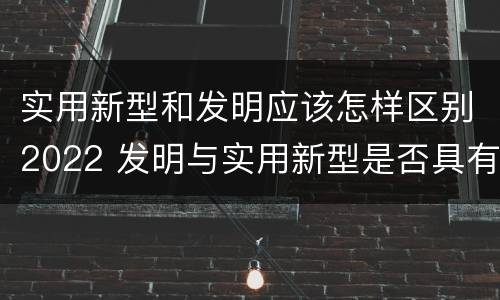 实用新型和发明应该怎样区别2022 发明与实用新型是否具有实用性