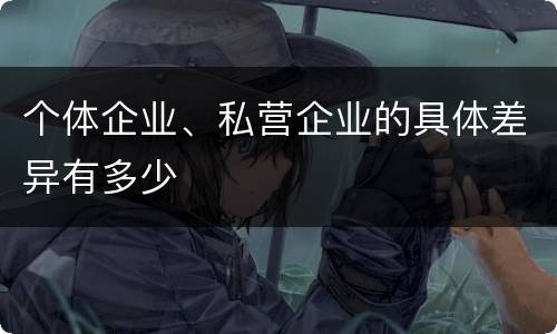 个体企业、私营企业的具体差异有多少