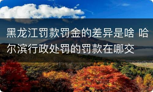 黑龙江罚款罚金的差异是啥 哈尔滨行政处罚的罚款在哪交