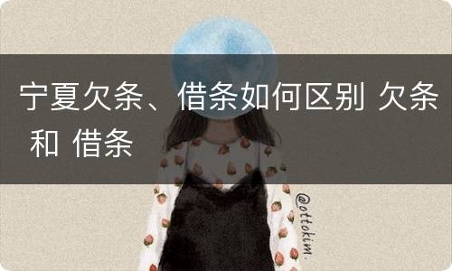 宁夏欠条、借条如何区别 欠条 和 借条