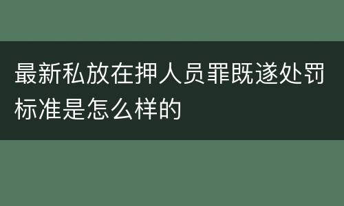 最新私放在押人员罪既遂处罚标准是怎么样的