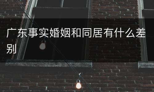 广东事实婚姻和同居有什么差别