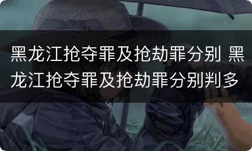 黑龙江抢夺罪及抢劫罪分别 黑龙江抢夺罪及抢劫罪分别判多少年