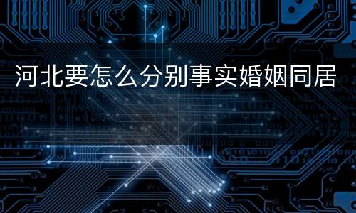 河北要怎么分别事实婚姻同居