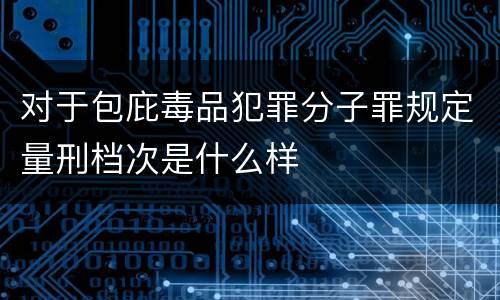 对于包庇毒品犯罪分子罪规定量刑档次是什么样