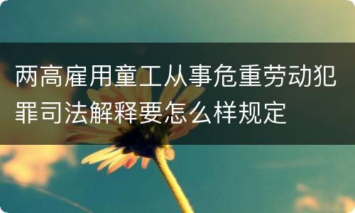 两高雇用童工从事危重劳动犯罪司法解释要怎么样规定