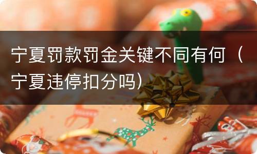 宁夏罚款罚金关键不同有何（宁夏违停扣分吗）