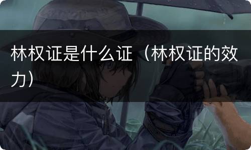 林权证是什么证（林权证的效力）