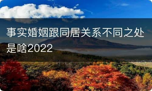 事实婚姻跟同居关系不同之处是啥2022