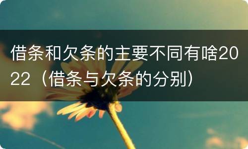 借条和欠条的主要不同有啥2022（借条与欠条的分别）