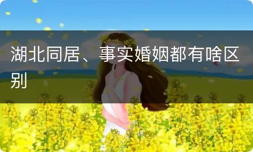 湖北同居、事实婚姻都有啥区别