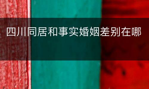 四川同居和事实婚姻差别在哪
