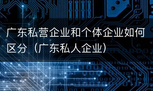 广东私营企业和个体企业如何区分（广东私人企业）