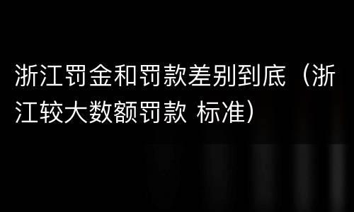浙江罚金和罚款差别到底（浙江较大数额罚款 标准）
