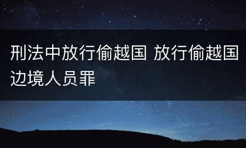 刑法中放行偷越国 放行偷越国边境人员罪