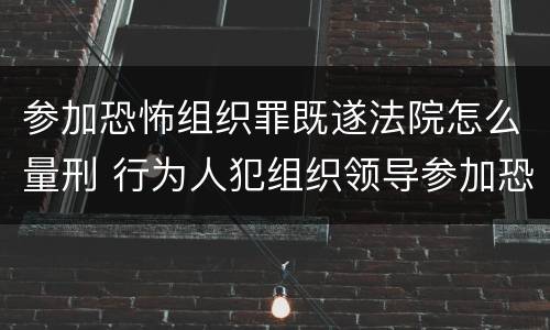 参加恐怖组织罪既遂法院怎么量刑 行为人犯组织领导参加恐怖组织罪并实施