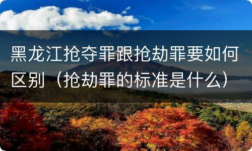黑龙江抢夺罪跟抢劫罪要如何区别（抢劫罪的标准是什么）
