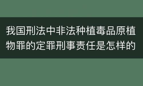我国刑法中非法种植毒品原植物罪的定罪刑事责任是怎样的