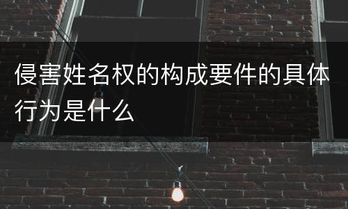 侵害姓名权的构成要件的具体行为是什么