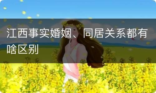 江西事实婚姻、同居关系都有啥区别