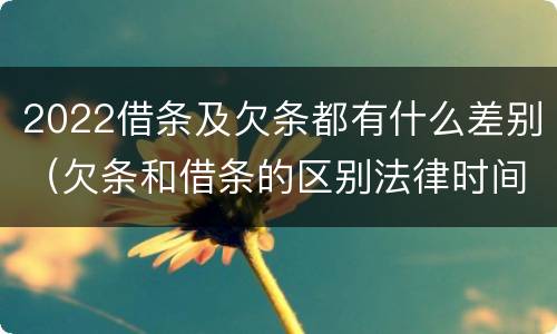 2022借条及欠条都有什么差别（欠条和借条的区别法律时间多少年）