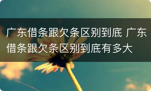 广东借条跟欠条区别到底 广东借条跟欠条区别到底有多大