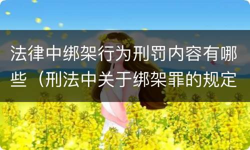 法律中绑架行为刑罚内容有哪些（刑法中关于绑架罪的规定）