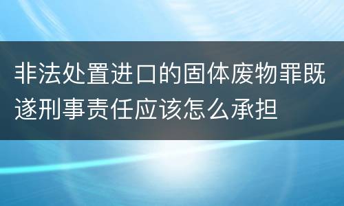 非法处置进口的固体废物罪既遂刑事责任应该怎么承担