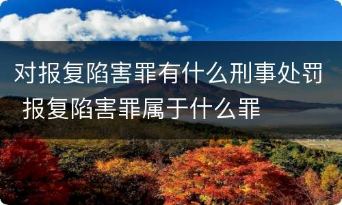 对报复陷害罪有什么刑事处罚 报复陷害罪属于什么罪