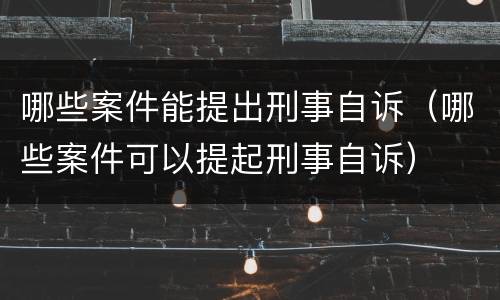 哪些案件能提出刑事自诉（哪些案件可以提起刑事自诉）