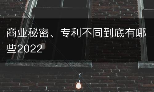商业秘密、专利不同到底有哪些2022