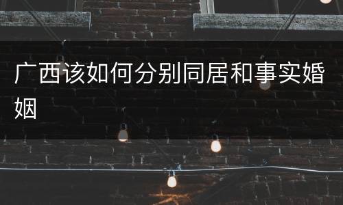 广西该如何分别同居和事实婚姻