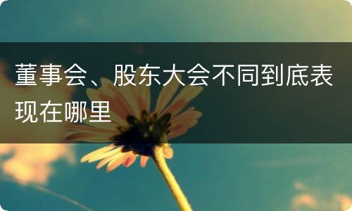 董事会、股东大会不同到底表现在哪里