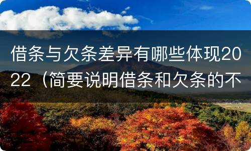 借条与欠条差异有哪些体现2022（简要说明借条和欠条的不同之处）