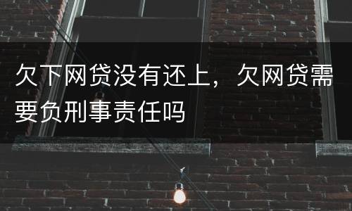 欠下网贷没有还上，欠网贷需要负刑事责任吗