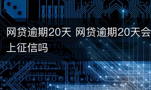 网贷逾期20天 网贷逾期20天会上征信吗