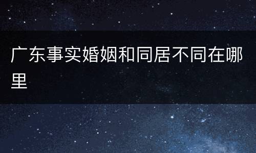 广东事实婚姻和同居不同在哪里