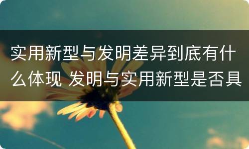 实用新型与发明差异到底有什么体现 发明与实用新型是否具有实用性