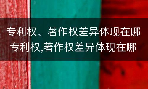 专利权、著作权差异体现在哪 专利权,著作权差异体现在哪里