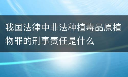 我国法律中非法种植毒品原植物罪的刑事责任是什么