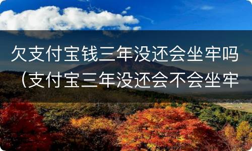 欠支付宝钱三年没还会坐牢吗（支付宝三年没还会不会坐牢）