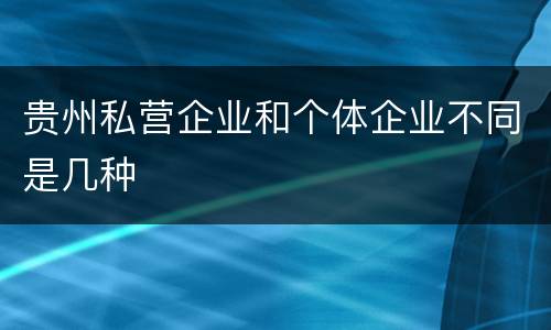 贵州私营企业和个体企业不同是几种