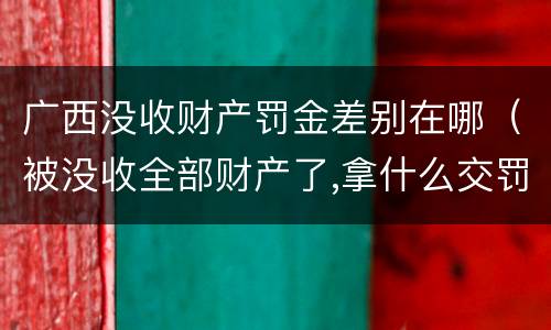 广西没收财产罚金差别在哪（被没收全部财产了,拿什么交罚金）