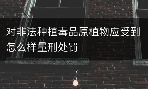 对非法种植毒品原植物应受到怎么样量刑处罚