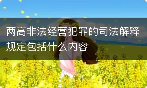 两高非法经营犯罪的司法解释规定包括什么内容