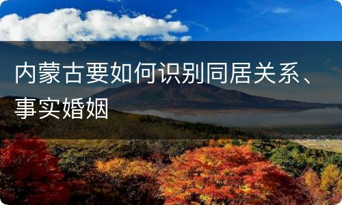 内蒙古要如何识别同居关系、事实婚姻