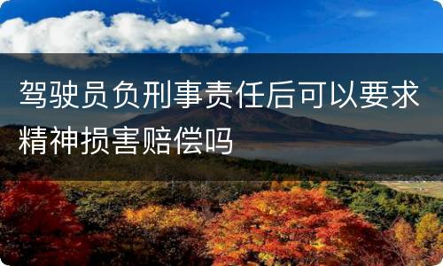 驾驶员负刑事责任后可以要求精神损害赔偿吗